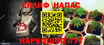 сатива Комсомольск-на-Амуре