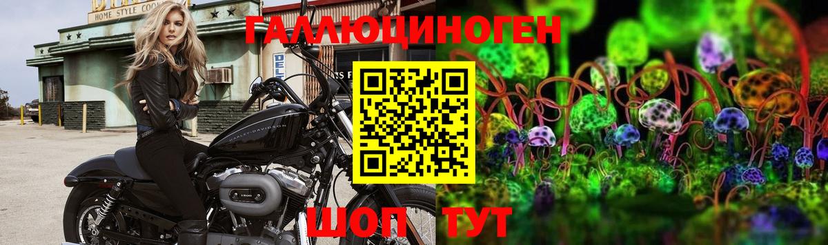 Псилоцибиновые грибы мухоморы Качканар